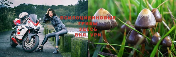 ешки Зеленодольск